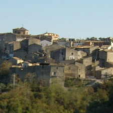 Rotello: olio extravergine di oliva di qualità in molise