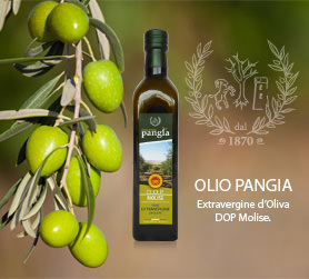 Olio Pangia DOP - nuova bottiglia e latta per la ristorazione albergheira. Extra virgin olive oil Pangia - Italy / Extra natives Olivenöl Pangia - Italien.