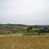 Paesaggio a Rotello