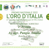 Premio L’Oro d’Italia®